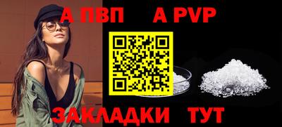 индика Новозыбков