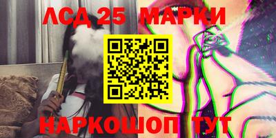 индика Новозыбков