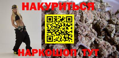 индика Новозыбков