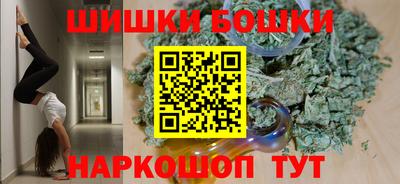 индика Новозыбков