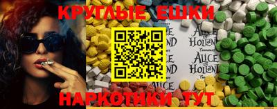 индика Новозыбков
