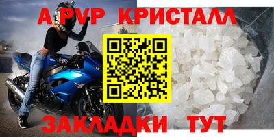 индика Новозыбков